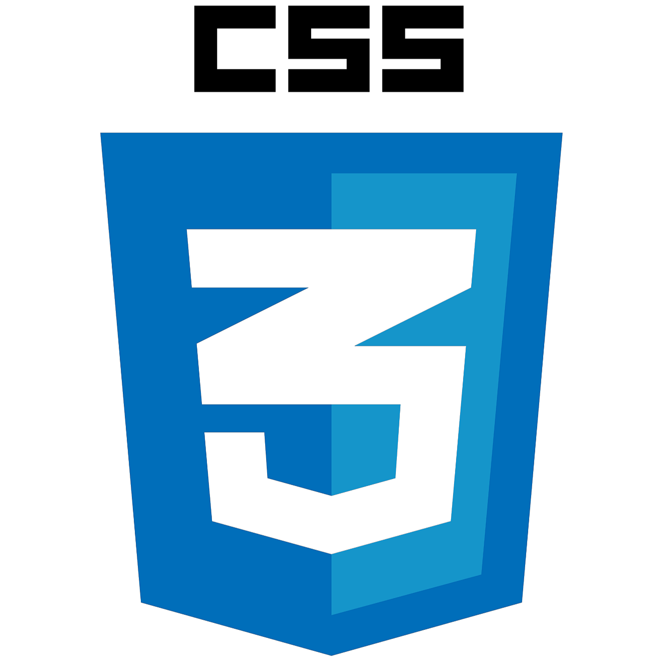 CSS logo leonardo ranocchi